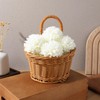 2Pcs Hanging Woven Storage Basket for Onion Ginger Garlic -