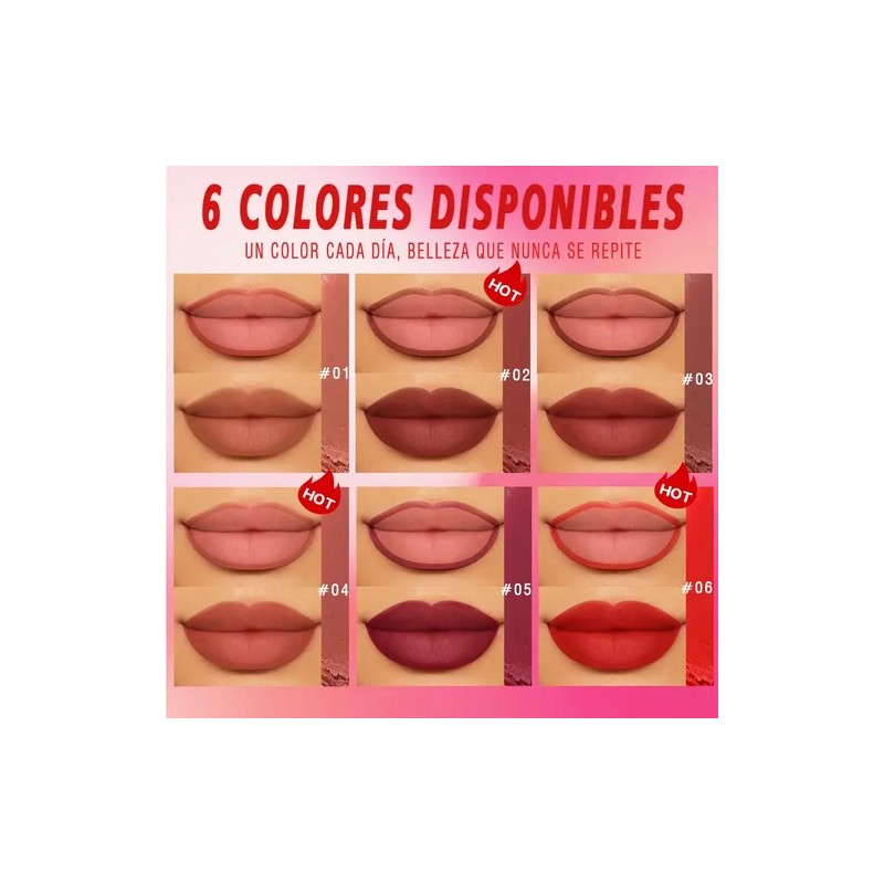 Febble Labial Mate Larga Duración Delineador Lapiz Labial