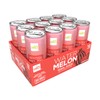 ALO Slim Can Juice | Watermelon Juice | Not from