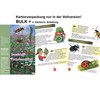 Insects Are Experiments