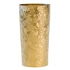 HORIE T08KM350 Titanium Double Tumbler, Made in Tsubame, Niigata Prefecture,