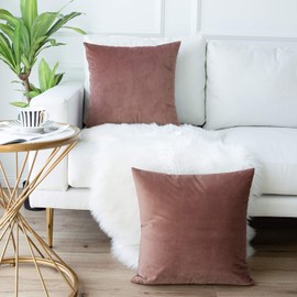 JUSPURBET Velvet Pillow Covers,Pack of 2 Decorative Throw Pillow case for Couch Bed Sofa,Soft Cushion Pillowcase,16x16 Inches,Jam