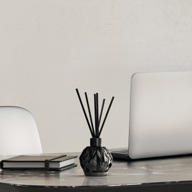 Aromaplan Reed Diffuser, Lifestyle Scent Diffuser (8.45 fl oz, 250ml)- Luxury Reed Diffusers Set for Home- Includes Reed Diffuser Sticks & Fragrance Oil in a Glass Bottle- Reed Diffusers for Home