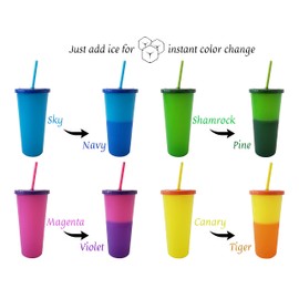 Essential Drinkware 24oz Instant Color Changing Cups Set of 4 Reusable Plastic Tumblers with Screw on Lids and Color Straws