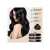 Shampoo Para Canas 500ml Natural Jengibre Tinte Cubre Canas