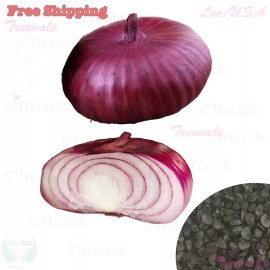 Treevale Flat Red Cipollini Onion, Red Cipollini Onion, Italian Onion, Red Marble Seeds - 50 Seeds No Tracking