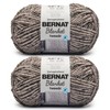 Bernat Blanket Tweeds Dove Tweed Yarn - 2 Packs of