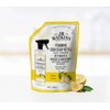 J.R. Watkins Foaming Dish Soap Refill Pouch, Crafted Clean &