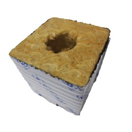 yasai is Cultivation (Made) (50H X W x 75l) 12 Pack