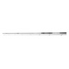 DAIWA Seahunter X Sea Trout 1022ML, 2 Pieces, 3.10 m,