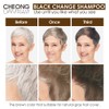 CHEONGDAM STYLE FOREST BLACK CHANGE SHAMPOO ULTRA BROWN