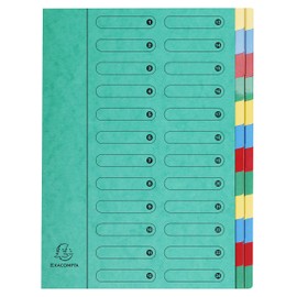 Exacompta 5124E Premium Folder Made of Extra Strong Colorspan Cardboard DIN A4 24 Full-Colour Colourful Compartments with Organiser Print and Stretchy Spine Ring Binder Index Folder Green