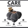 Teddy Bear Fleece Blanket, Luxury Super Soft Sherpa Throw for