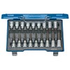 GEDORE ITX 19 LKP Screwdriver bit Socket Set 1/2" 18