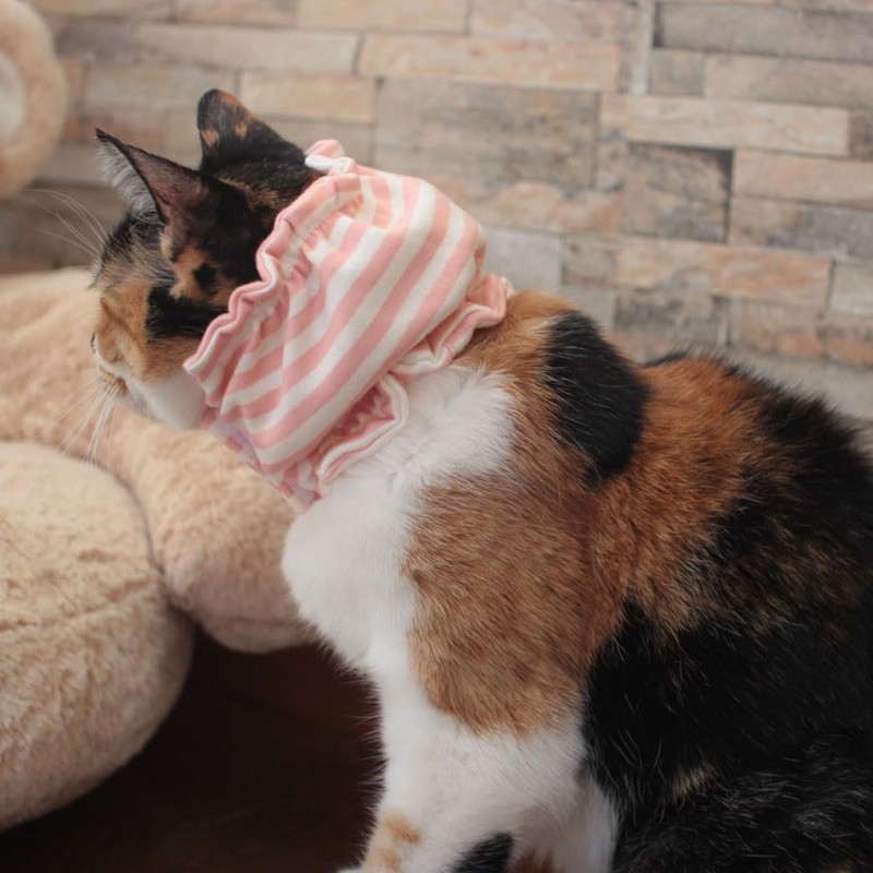 Cat Esophagus Tube Cover (Yellow)