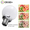 Leisure LED 12 Volt RV Led Light Bulbs BA15s 20-99/1141