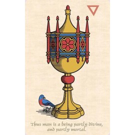 The Alchemical Tarot of Marseille Tarot Deck by Robert Place, small press