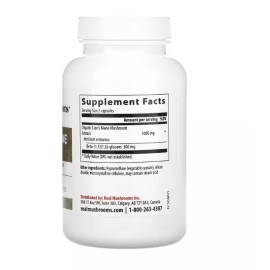 Lion Real Mushrooms, Lion's Mane, Cognition, 1,000 mg per serving, 120 Capsules