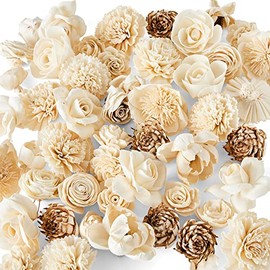 Oh You're Lovely 50 Variety Sola Wood Flowers Assortment