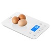 Ozeri Touch III 22 lbs (10 kg) Baker's Kitchen Scale