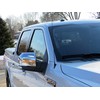 AntennaMastsRus - 21 Inch Black Antenna is Compatible with Ford