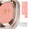Ameli Step Basic Eye Shadow Korean Cosmetics (#255)