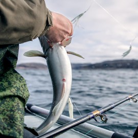 BullTek Nylon Fishing Line - 100M - 0.4mm - 12.5kg - Monofilament Fishing Line Spool - Tear-resistant Transparent for Sea River Lake Fishing Line