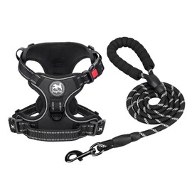 PoyPet Dog Harness and Leash Combo, Escape Proof No Pull Vest Harness, with 5 Feet Leash, Reflective Adjustable Soft Padded Pet Harness with Handle for Small to Large Dogs(Black,S)