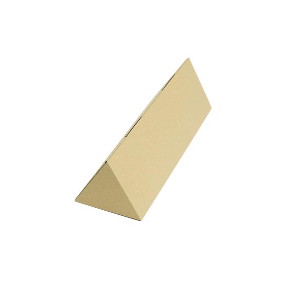 Earth Cardboard Cardboard Poster Case Compatible with A3, Set of