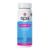 HTH Spa 86131 Alkalinity up, Spa & Hot Tub Chemical