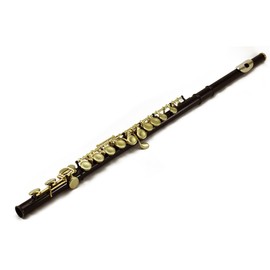 Sky Blue Lacquer Gold Keys Open Hole C Flute with 1 Year Manufacturer Warranty, with Lightweight Case, Cleaning Rod, Cloth, Joint Grease and Screw Driver