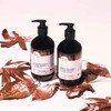 Holistic Hair Quinoa Pro NPNF Colour Protect Conditioner, 250ml