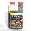 Cloverleaf FA250/12 Fungal Answer, 250ml, Clear, 26x6x14 cm