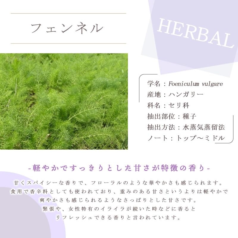 Fennel 10ml e-aroma Essential Oil Essential Oil Aroma Oil (10ml)