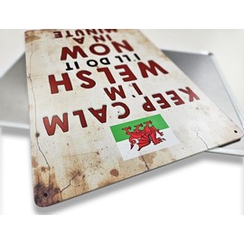Welsh Dragon Metal Wall Sign, Keep Calm I'm Welsh I `ll do it now in a minute, Funny Vintage-Style Home Decor, Red dragon