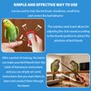 NICERINC PET Parrot Training Clicker with Target Stick, Getting Started