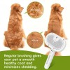 Cepillo Para Perros 3 En 1 , Gatos Vapor Peine