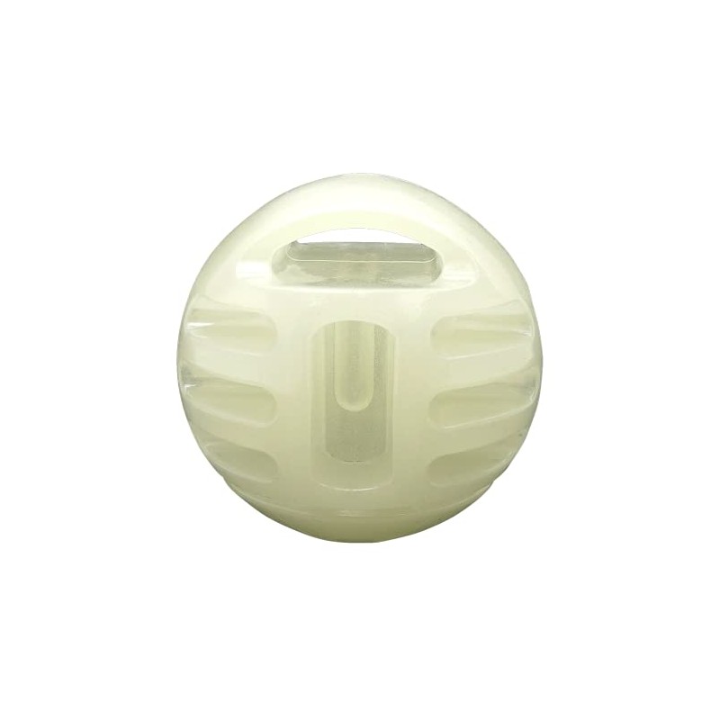 Fancy Pets Juguete Pelota Glow para Perro Que Brilla en