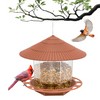 Hanging Bird Feeder Outdoor