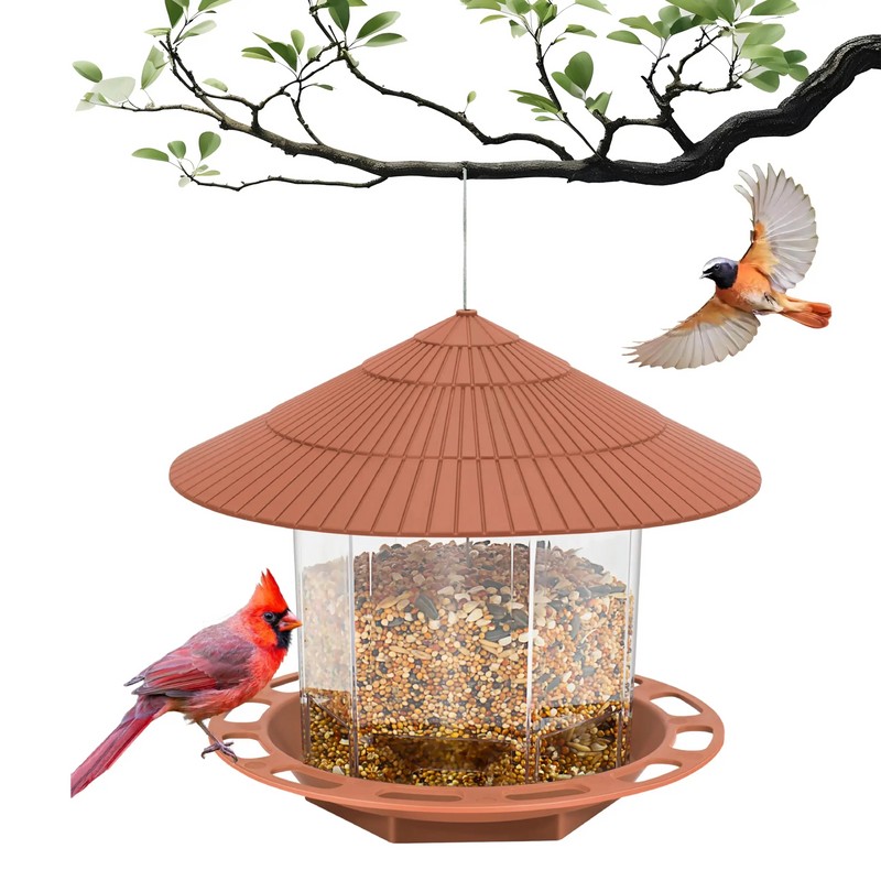 Hanging Bird Feeder Outdoor