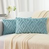 Pallene Spring Soft Faux Fur Throw Pillow Covers 12x20 Set