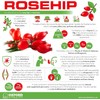 Rosehip Tablets | High Strength 7200mg Supplement for Immune System