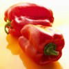 Frontier Seed Co USA EMERALD GIANT pepper seeds NON-GMO GIANT