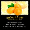 Kao Bub Blissful Citrus Meguri Bath, Carbonated, Bath Salt, Pack