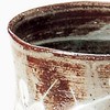 Kiyomizu Ware Seisen Kiln Tea Cup Set Hagigasane USE542