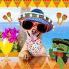 20 Pack Cinco De Mayo Mexico Dog Bandana Adjustable Triangle