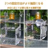 FujiFrugal Fish Breeding Isolation Box, Spawning Case, Isolating Case, Assembly