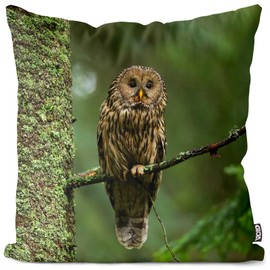 VOID Owl Owl Bird Animal Forest Cushion Cover Polyester Waterproof Outdoor Indoor Cushion Size: 40 x 40 cm