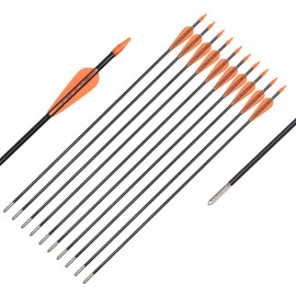 Fiberglass Arrows Black Spots with Orange Plastic Vanes with Long Bullet Shape Tips for Practice Archery Hunting fit for Recurve Bow or Compound Bow 26 inch 6PCS