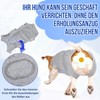 Eyein Dog Bodysuit After Surgery, Wound Protection Suits for Female
